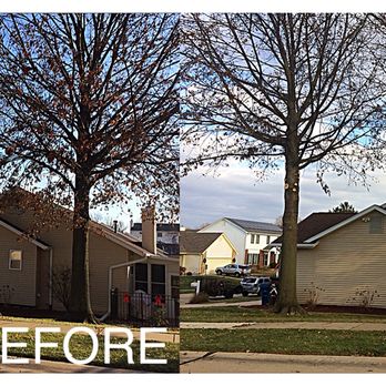 Home Grown Handyman - Trim trees - Tree Services Near Me Home Grown Handyman - Trim trees - Tree Services Near Me
