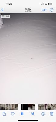 Bahia Resort Hotel by null