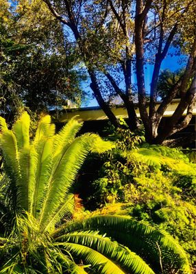 Palomar College by null