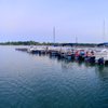Duck Cove Marina gift card