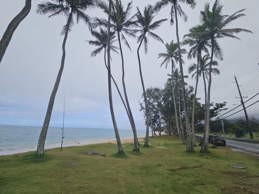 Punaluʻu Beach by null