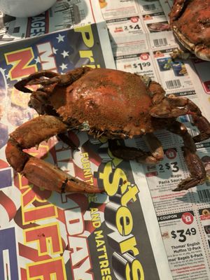 Shag's Crab & Seafood by null