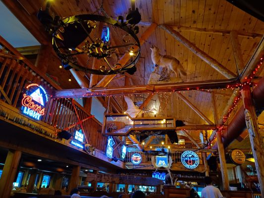 Blue Moose Bar & Grill by null