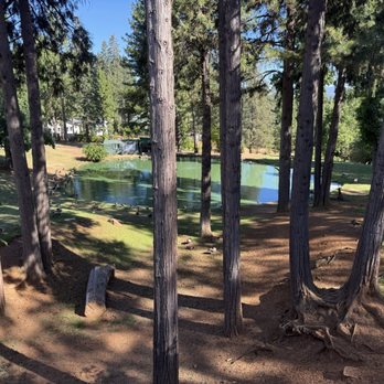 High Hill Ranch - Water pond with plenty of picnic tables to sit at around it. - Donuts Near Me - Placerville, California High Hill Ranch - Water pond with plenty of picnic tables to sit at around it. - Donuts Near Me - Placerville, California