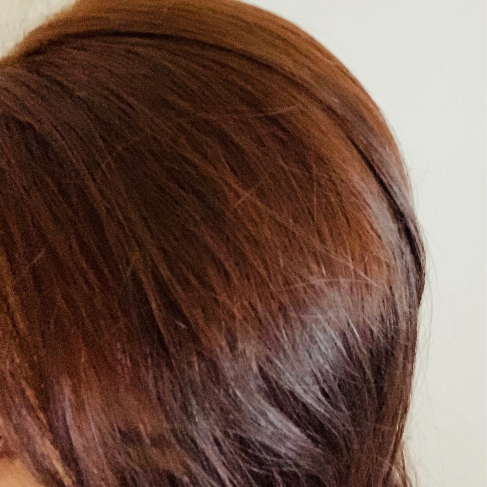Bishops Campbell - Bright orange roots. - Hair Salons Near Me - Campbell, California Bishops Campbell - Bright orange roots. - Hair Salons Near Me - Campbell, California