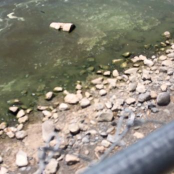 Clear Lake - clearlake isn't clear at all - Lakes Near Me Clear Lake - clearlake isn't clear at all - Lakes Near Me