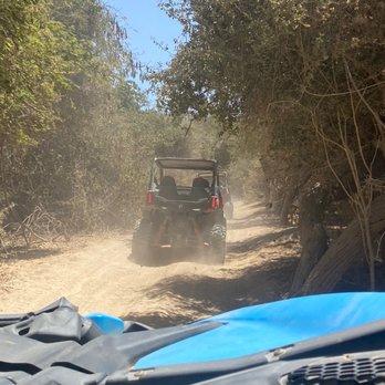 Cactus Tours - Tours Near Me - Cabo San Lucas, BCS