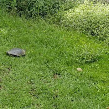 Riverside Park 23 Photos 10 Reviews Dog Parks 4431 Hardy Mcmanus Rd Evans Ga Yelp