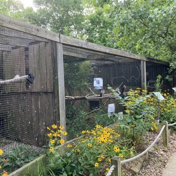 Ohio Wildlife Center - Community Service/Non-Profit Near Me - Powell, Ohio Ohio Wildlife Center - Community Service/Non-Profit Near Me - Powell, Ohio
