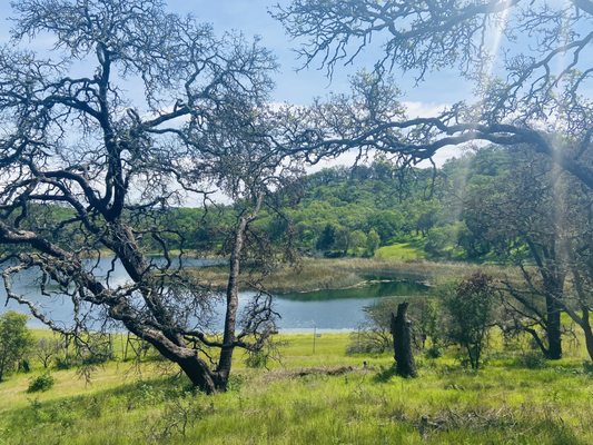 Foothill Regional Park by null