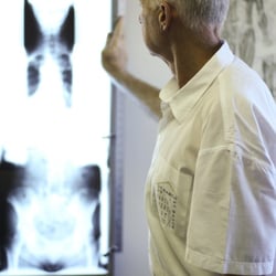 Family Life Chiropractic