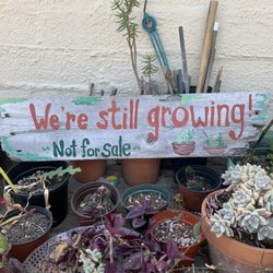 Hunter's Nursery