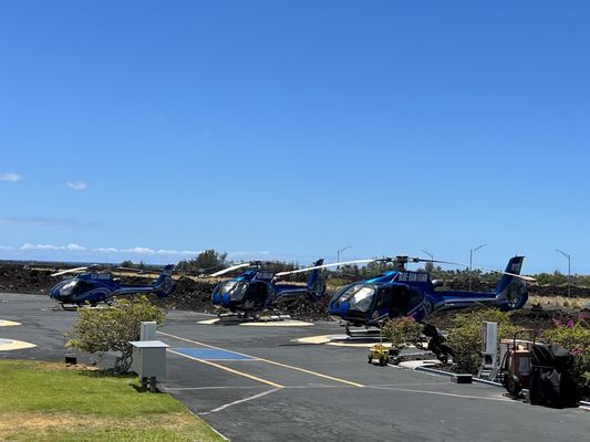 Blue Hawaiian Helicopters by null