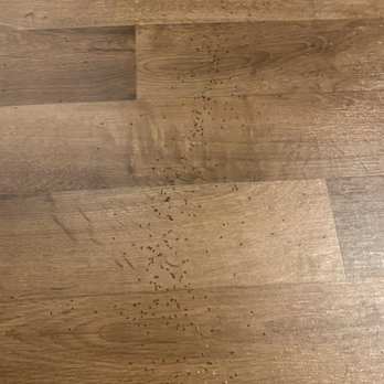 Prominence Apartment Complex - Ant infestation - Apartments Near Me - San Marcos, California Prominence Apartment Complex - Ant infestation - Apartments Near Me - San Marcos, California