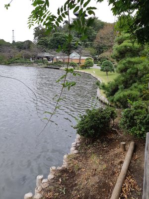 Sankeien Garden by null