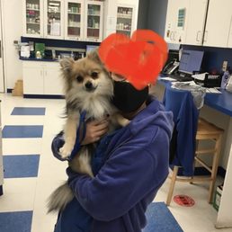My sweet girl had surgery. They kept me updated and sent pictures to let me know she was truly in "caring hands". My sweet girl had surgery. They kept me updated and sent pictures to let me know she was truly in "caring hands".