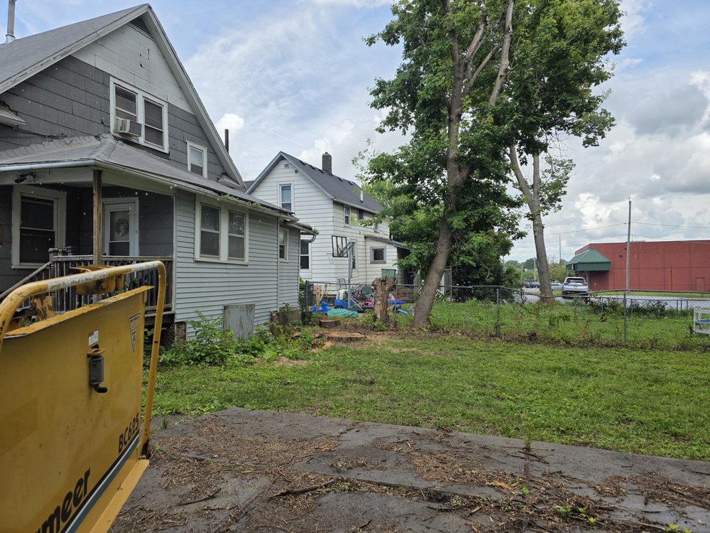 Diverse Construction - tree service in Des Moines, IA