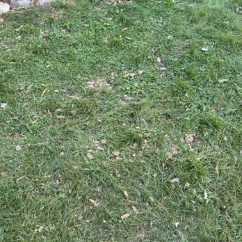Hawks Landscape - mulch and wood chips all over the front lawn - Landscaping Near Me - Wauwatosa, Wisconsin Hawks Landscape - mulch and wood chips all over the front lawn - Landscaping Near Me - Wauwatosa, Wisconsin