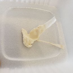 Styrofoam found in the cookie dough that did not come from the Styrofoam container it was in. Styrofoam found in the cookie dough that did not come from the Styrofoam container it was in.