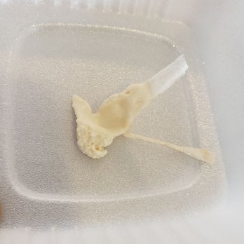 Frosty Point Ice Cream Parlor - Styrofoam found in the cookie dough that did not come from the Styrofoam container it was in. - Ice Cream & Frozen Yogurt Near Me - Lighthouse Point, Florida Frosty Point Ice Cream Parlor - Styrofoam found in the cookie dough that did not come from the Styrofoam container it was in. - Ice Cream & Frozen Yogurt Near Me - Lighthouse Point, Florida