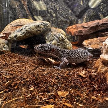 Zookeeper - Pet Stores Near Me - Austin, Texas