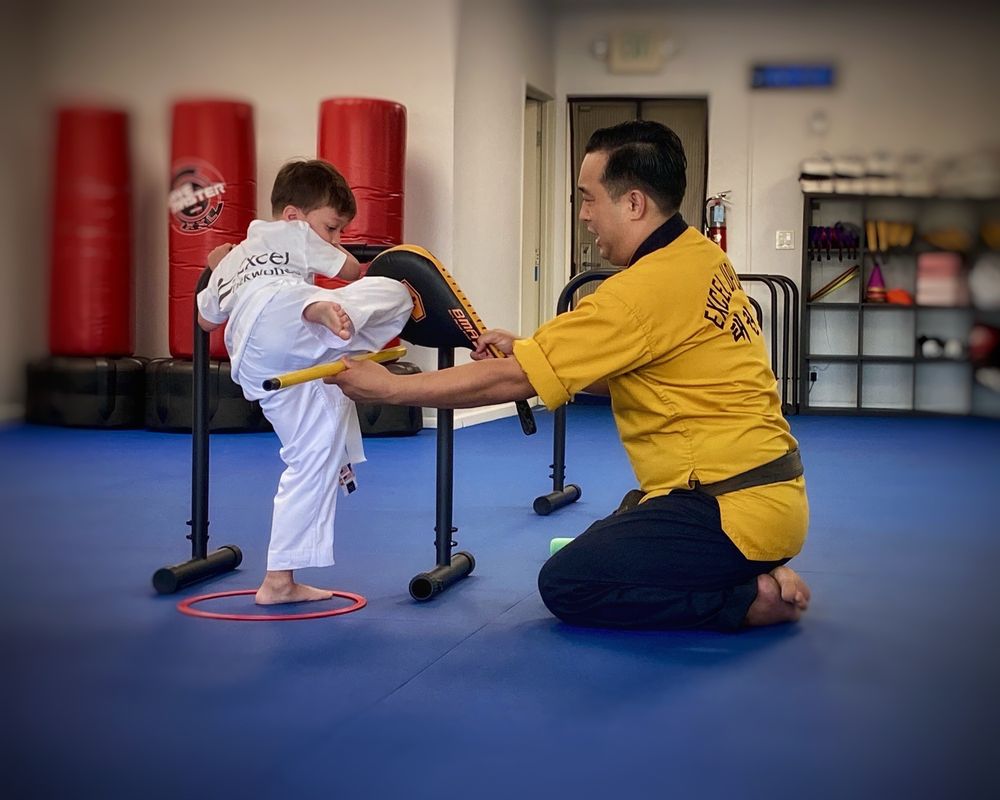 Excel Taekwondo Academy Logo