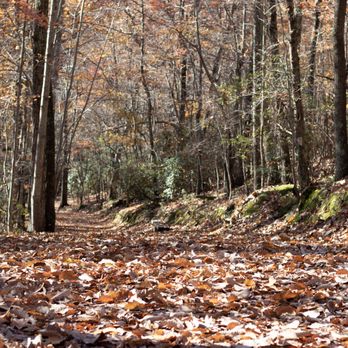 Hanging Rock State Park - The sound of leaves crunching beneath your feet will be music to your soul! - Parks Near Me - Westfield, North Carolina Hanging Rock State Park - The sound of leaves crunching beneath your feet will be music to your soul! - Parks Near Me - Westfield, North Carolina