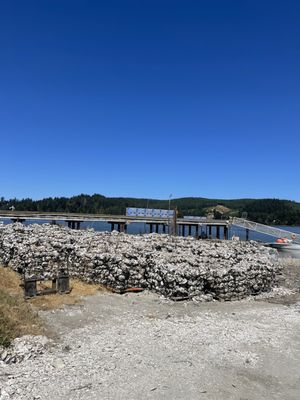 Clausen Oysters by null