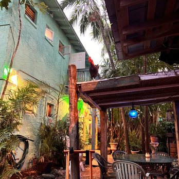 Blue Heaven - Ambiance - Breakfast & Brunch Near Me - Key West, Florida
