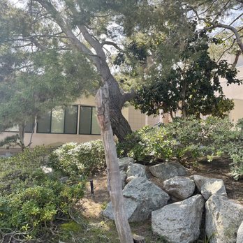Pine Wind Garden - Garden - Botanical Gardens Near Me - Torrance, California