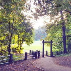 Friends of Manor Farm Park - Beautiful day