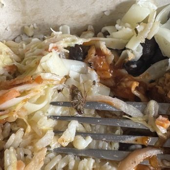 MIXT - Roach in rice bowl - Salad Near Me - San Francisco, California