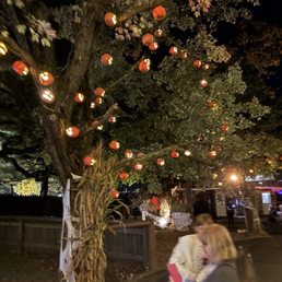 Halloween event with decorated trees.