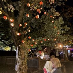Southwick's Zoo - Halloween event with decorated trees.