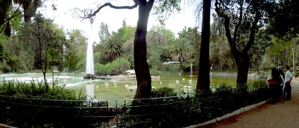 Parque México by null