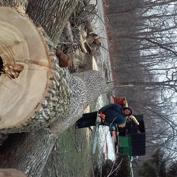 RGP Tree Service - doing some work on winter time - Tree Services Near Me - Chicago, Illinois