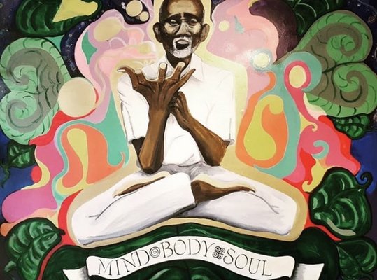 Holistic Jawn by null