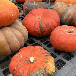 Buppert's Doran's Chance Farm