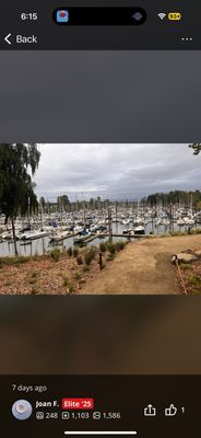 Pal’s - Hayden Island by null