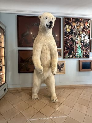 Museum of Hunting and Nature by null