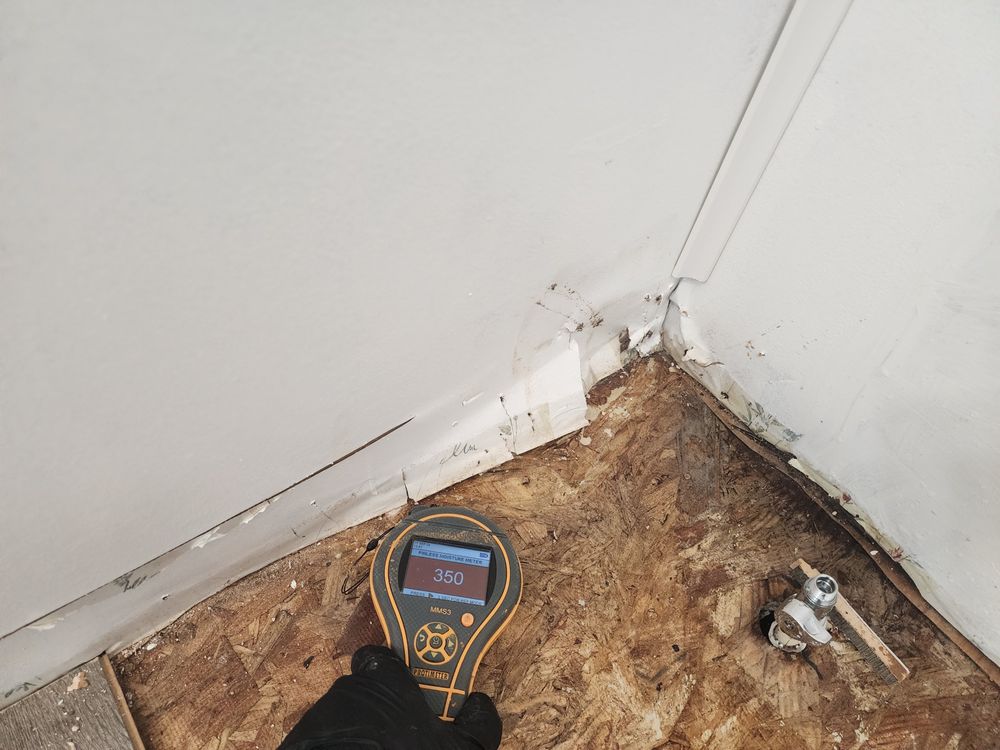 Slide of Smoky Mountain Restoration