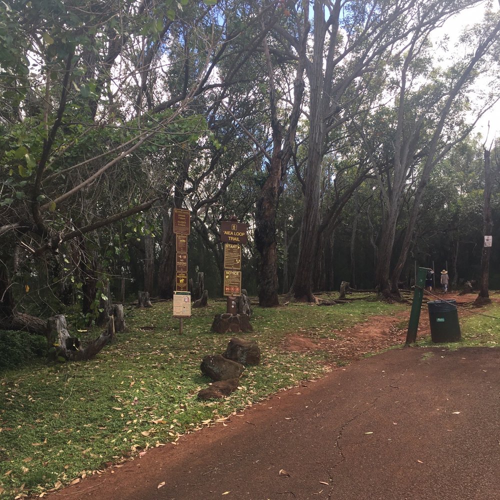 Aiea Loop Trail - Hiking Near Me - Aiea, Hawaii