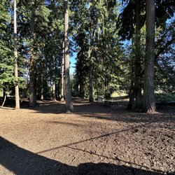Mountlake Terrace Off Leash Dog Park - Open space