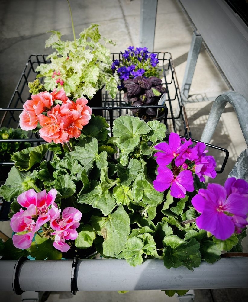 DEVAN GREENHOUSES Updated October 2024 100 Photos & 13 Reviews