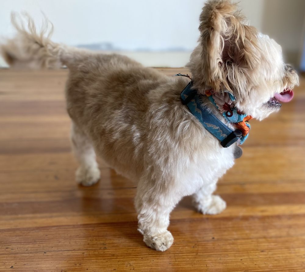 RAISE THE WOOF Updated September 2024 18 Reviews 2620 N 72nd St