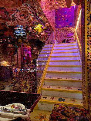 Rosi La Loca by null