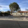 Photo of Noriega and Sons Tree Service