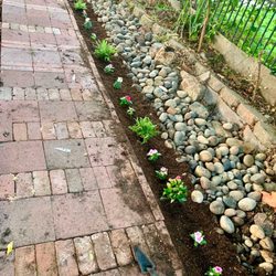 Bert's Gardening - Planting