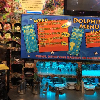 The Dolphins - Their weed strains and prices - Coffeeshops Near Me - Amsterdam, New Hampshire The Dolphins - Their weed strains and prices - Coffeeshops Near Me - Amsterdam, New Hampshire