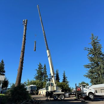Sutherland Tree Specialist - Some crane work - Tree Services Near Me Sutherland Tree Specialist - Some crane work - Tree Services Near Me